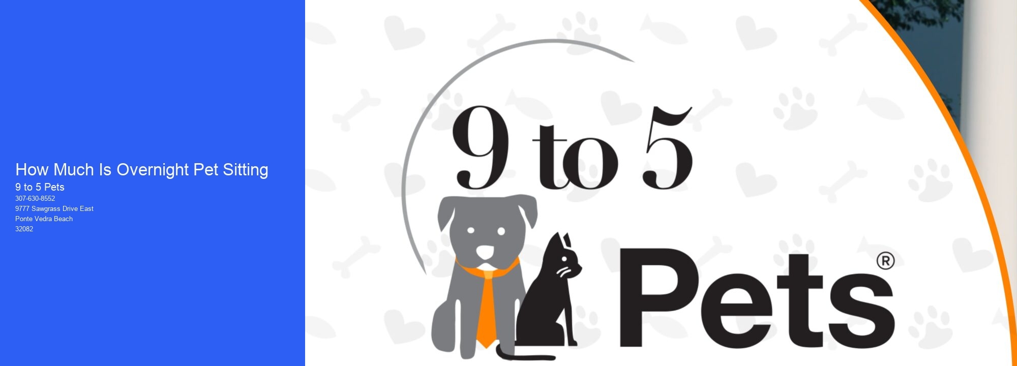 How Much Is Overnight Pet Sitting